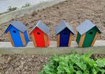 bird boxes
