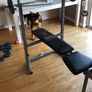 Gym bench & Barbell + weights Image 2