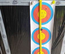 archery target