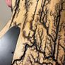 bass with burned patterns Image 3