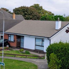 Gutter Cleaning. Window Cleaning. Roof Cleaning