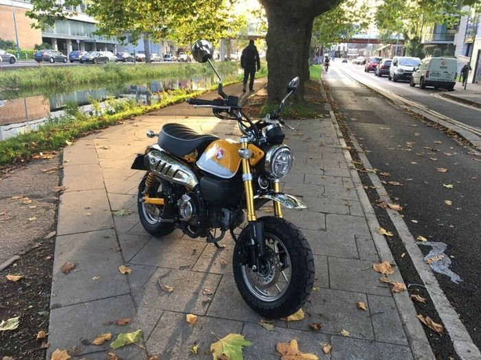 Honda Monkey 125 - Banana Yellow