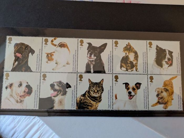 cats & dogs commemorative stamps
