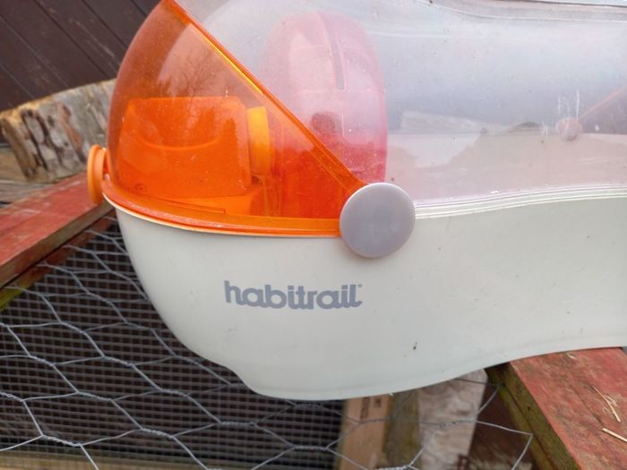 habitrail ovo loft cage