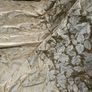 Beautiful Gold Embossed Silk Interlined Curtains 140in - 355cm Wide  x 90in - 228cm Drop  2 Pairs Available Image 9