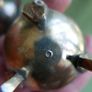 Vintage Salt & Pepper Shaker Pair silver plated Tray And Velvet Box Image 10