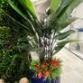 Large artificial plants Image 4