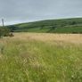 Organic Hay Rossmore/Reenascreena Area Image 3