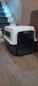 pet carrier