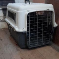 pet carrier