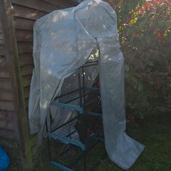 greenhouse