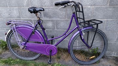 Vintage city bike