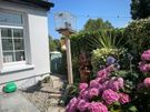 Gardening Image 2