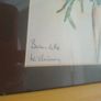 Signed Watercolour of Anemone Flower Image 2