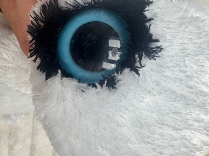 Ty Beanie Babies Daisy The Black And White Cow Used Please see pictures