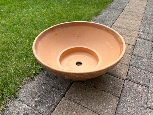 Terracotta planter