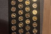 Ultimate Sacagawea Collection
