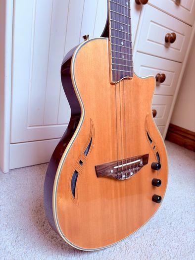 Semi acoustic electric guitar