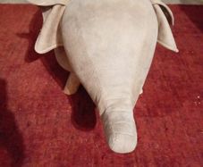 Elephant seat