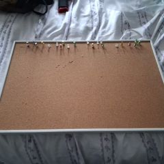 Notice Board