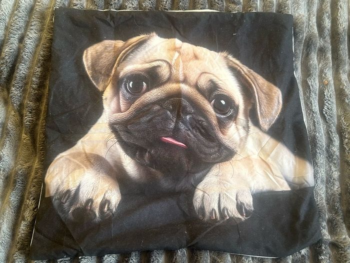 Pug cushion cover