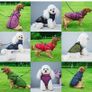 Poseca Insulated - waterproof Dog Jacket, small dog, integrated harness loop Image 2