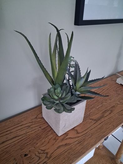 Faux Potted Cacti and Succulents
