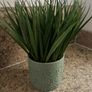 Home decor Carolyn Donnelly articula plant Image 3