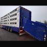 Pezzaioli Livestock trailer Image 2