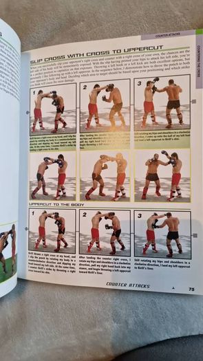 Fedor: The Fighting System of the World's Undisputed King of MMA