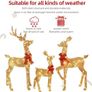 3 Piece 2D Lighted Christmas Deer Family Set Image 5