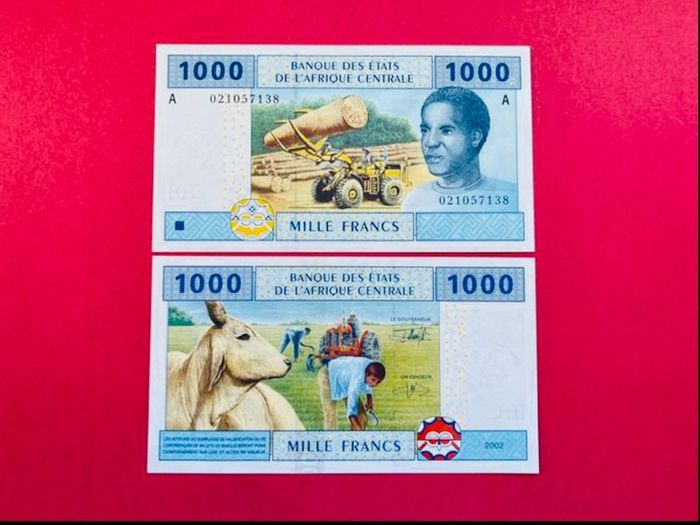 Central African States. 1000 Francs  2002  Pick 407a  ( A ) Gabon. ( Uncirculated )