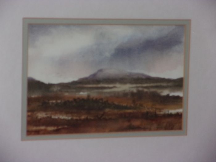 water colour by jess walsh.west of ireland