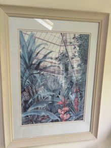 Pictures Large  - Framed Botanic Gardens Glasnevin Large Prints
