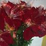 28 Inch Fibre Optic Poinsettia Light Up Flower Arrangement With Mains Adapter Tested Working Image 5