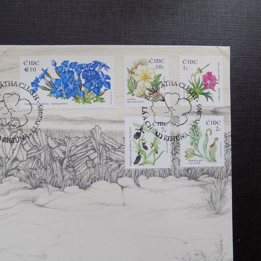 Ireland 2005.Wild Flowers series.FDC.6th Definitives.First Day Cover.FDC.