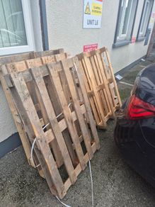 Euro pallet for free