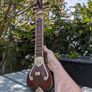 Sitar Image 2