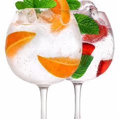 Bohemia Crystal gin glasses x 2