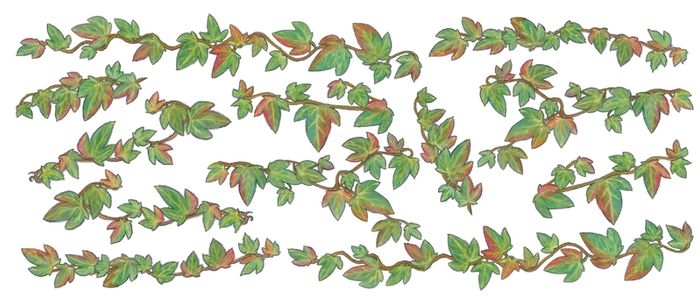 Irish ivy extensions (for main Irish Ivy decal sold seperately)