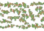 Irish ivy extensions (for main Irish Ivy decal sold seperately)