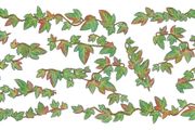 Irish ivy extensions (for main Irish Ivy decal sold seperately)
