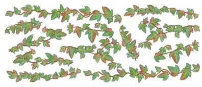 Irish ivy extensions (for main Irish Ivy decal sold seperately)
