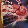 T Rex Great Hits LP with Poster Image 4