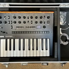 Korg Monologue + Ripcord Power + Flight case