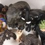 Elephant collection Image 8