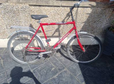 bike raleigh needs fixing