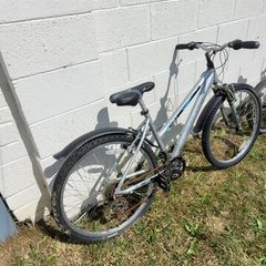 20 inch  bike