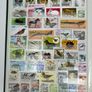 Collection. Green Lighthouse Stamp Stock book full of used stamps.  Over 600 stamps and a number of block. Good thematic of travel inc cars & animals Image 10