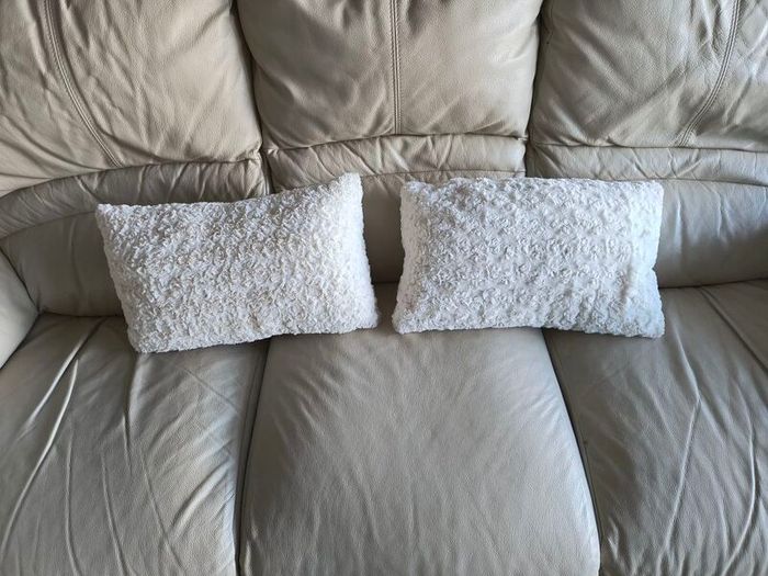 Cushions x 4